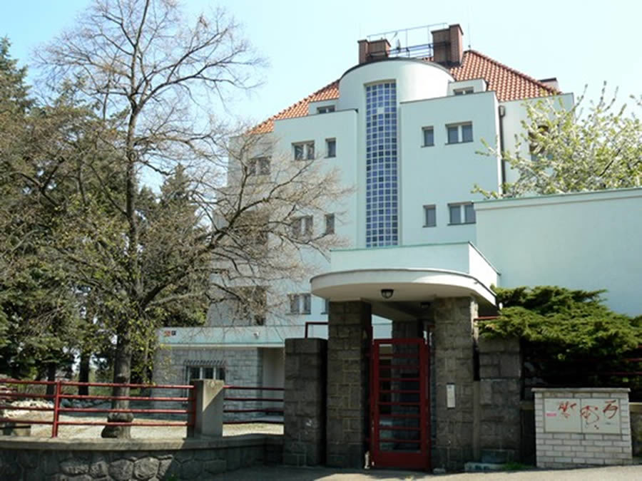 Provaznice